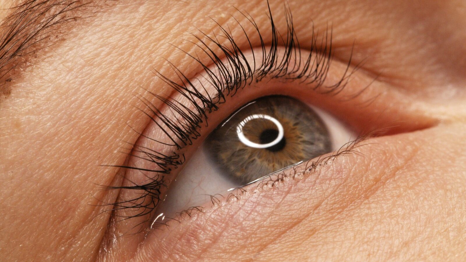 A woman's eye with long black eyelashes after lamination.